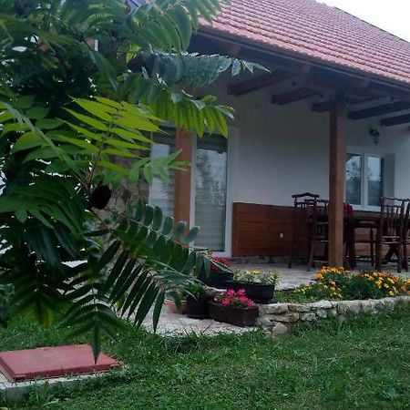 Nektar Park Villa Sara Bihać Esterno foto