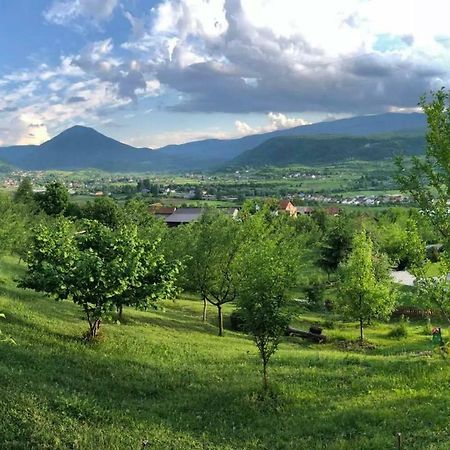 Nektar Park Villa Sara Bihać Esterno foto
