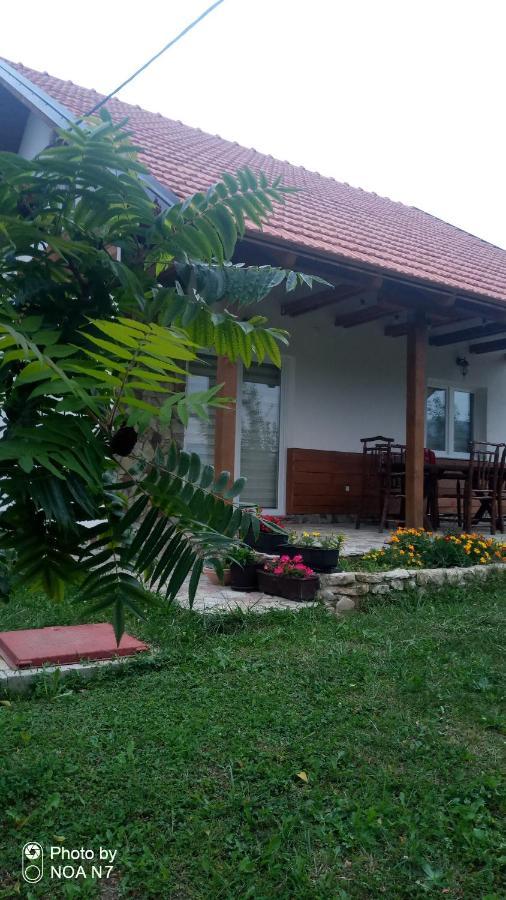 Nektar Park Villa Sara Bihać Esterno foto