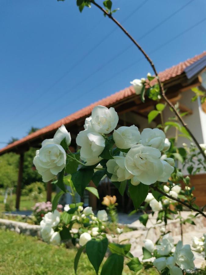 Nektar Park Villa Sara Bihać Esterno foto