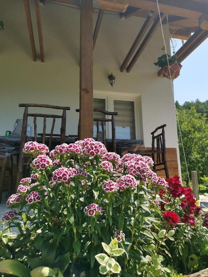Nektar Park Villa Sara Bihać Esterno foto