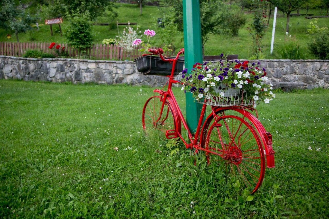 Nektar Park Villa Sara Bihać Esterno foto
