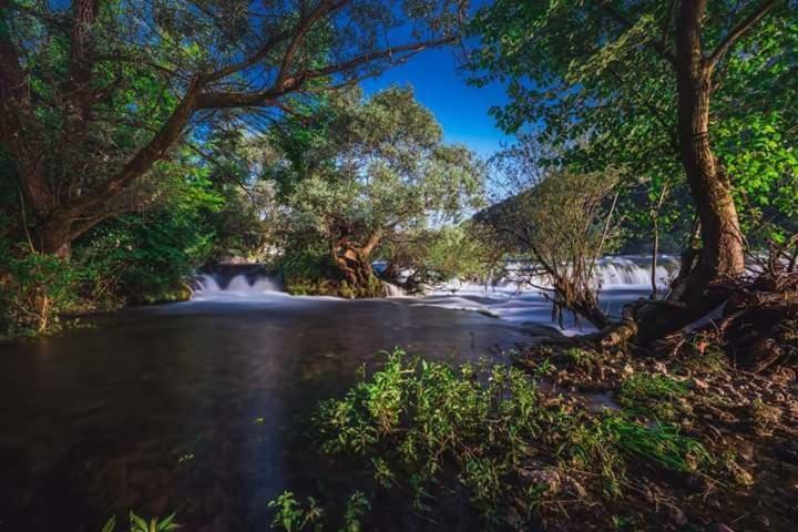 Nektar Park Villa Sara Bihać Esterno foto