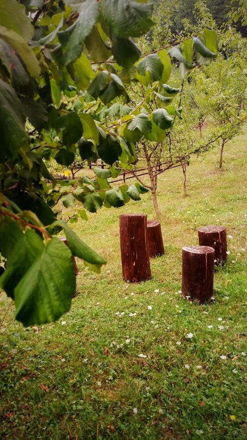 Nektar Park Villa Sara Bihać Esterno foto