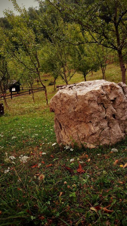 Nektar Park Villa Sara Bihać Esterno foto